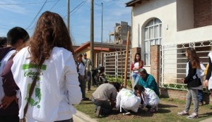 Cañada Forestación.