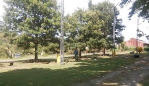 trabajosespaciosverdes