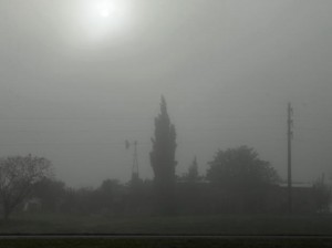 niebla