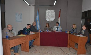 Concejo Sueños del Sur