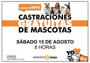 castracionesagosto-Armstrong-y-Region-