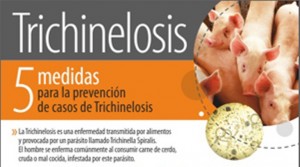 Armstrong. Triquinelosis
