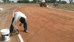 Las-Rosas-JavierMeyer