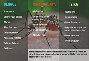 aedes_armstrong-y-region-