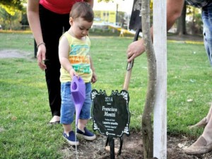 Programa crecer juntos