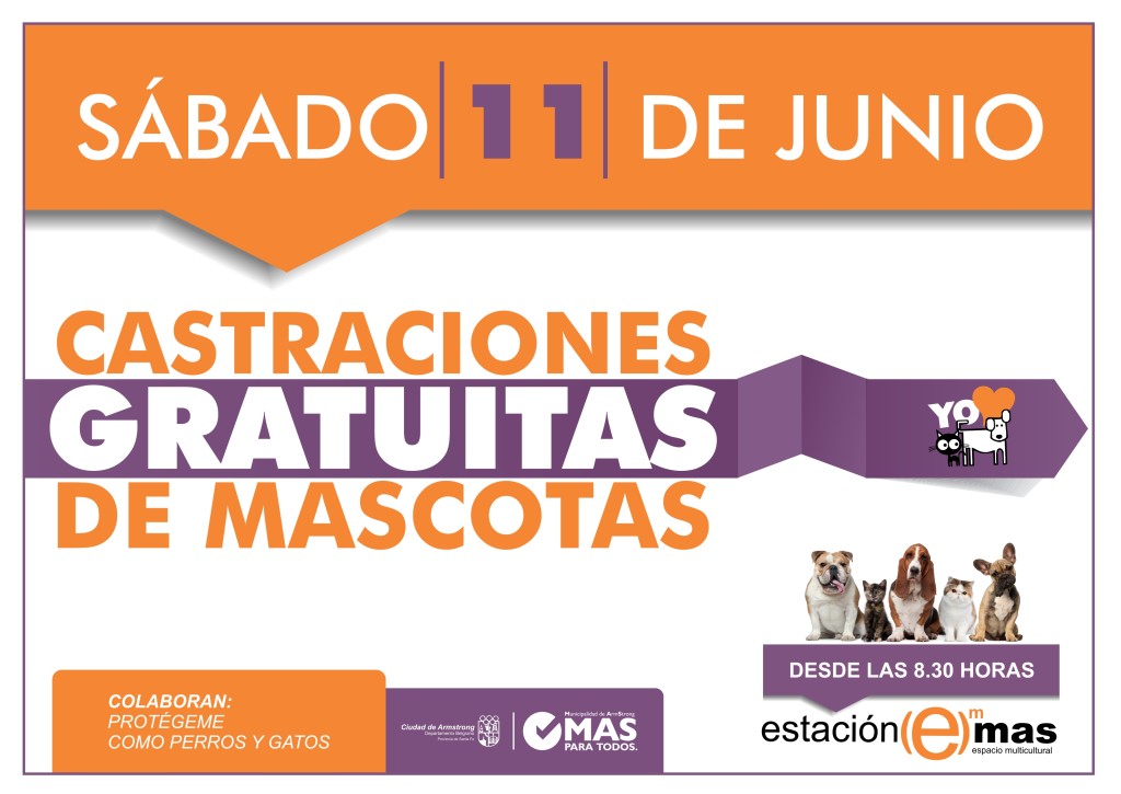 3 CASTRACIONES JUNIO 2016