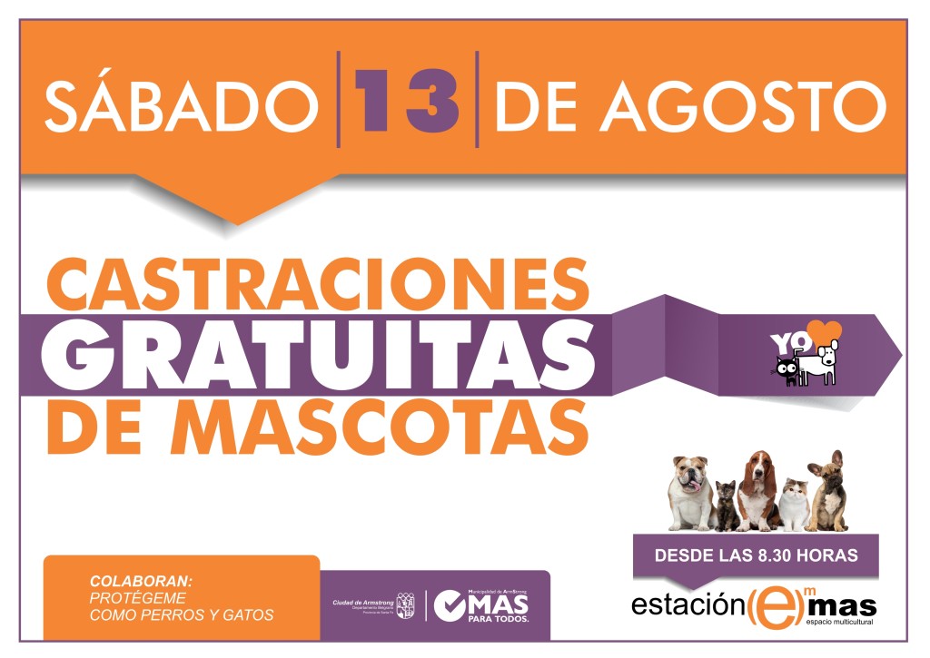 4 CASTRACIONES AGOSTO 2016