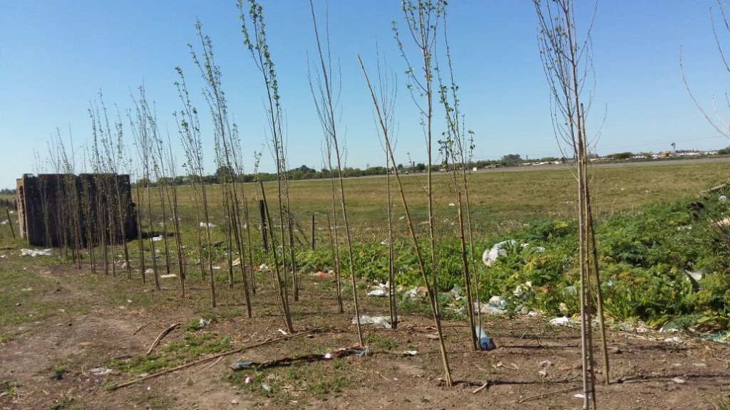 acondicionamiento-peyra