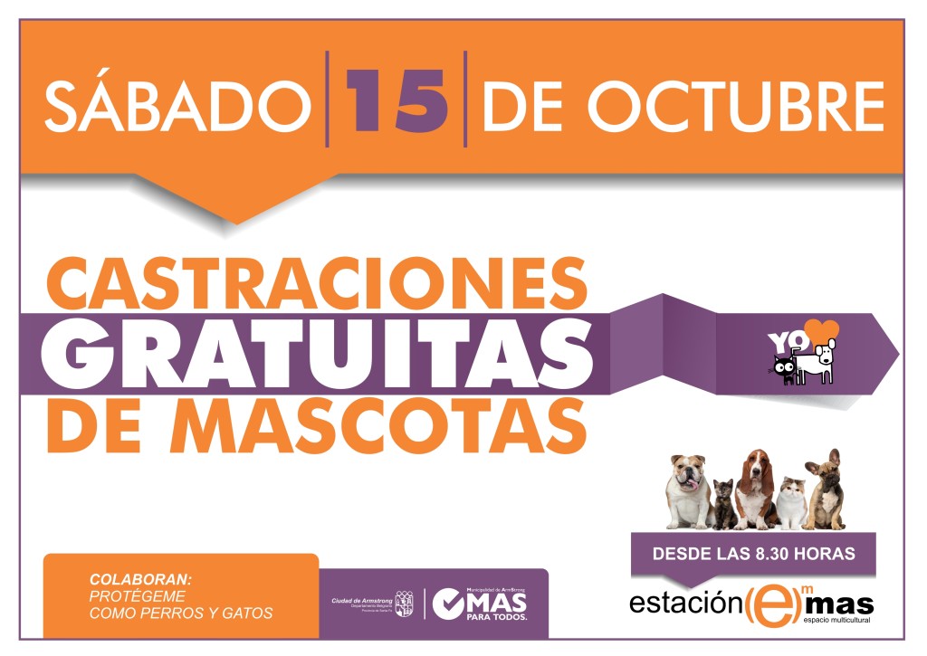 5-castraciones-octubre-2016