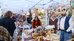 feria-de-las-regiones_6145_crop_629x356_th