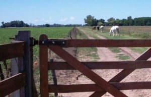 impuesto-inmobiliario-rural