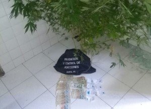 AllanamientosBouquet1