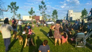 Fumigaciones-armstrong-y-region-