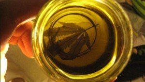 cannabis.jpg_1305449671