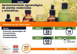 curso plantas medicinales