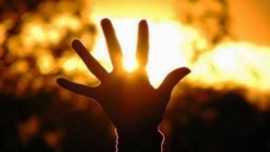 sol-huevo.jpg_1305449671