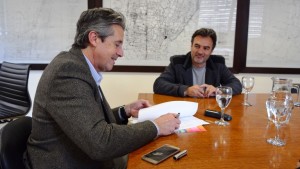 viozzi-armstrong-y-region-