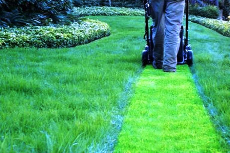 cortar_cesped_casa_jardin_Blog_Reparalia_1