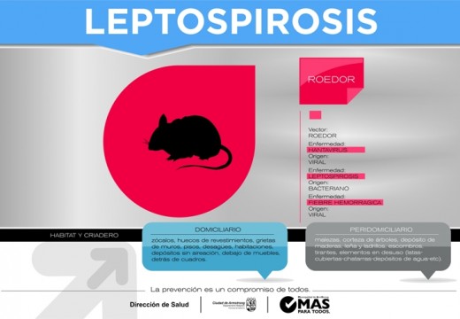 Armstrong. Prevención por leptospirosis.