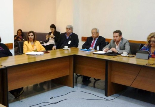Diego Mansilla participó de una nueva Sesión Ordinaria del Parlamento del Mercosur.