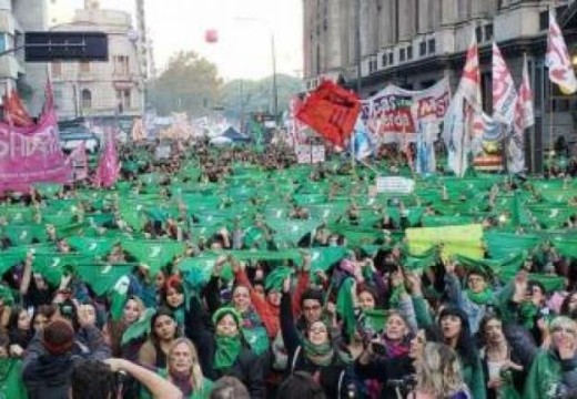 Una encuesta de la UBA entre manifestantes «verdes» y «celestes».