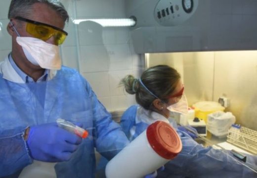 Llegaron al país 31 mil reactivos para detectar coronavirus y el Cemar recibirá su partida