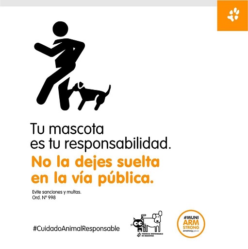 Armstrong. Campaña de concientización sobre perros en la vía pública.