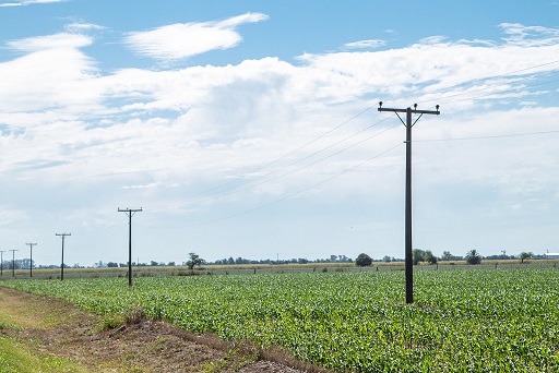 La EPE licitó la remodelación de 25 kilómetros de redes rurales en Montes de Oca y Bouquet.