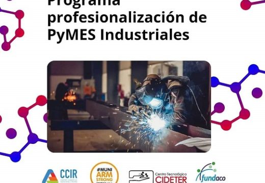 Programa profesionalización de Pymes industriales.