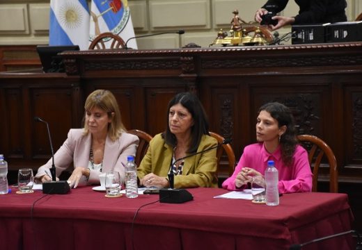 «Rectores de las universidades públicas y directivos del Conicet expusieron un crudo relato de su situación en la legislatura».