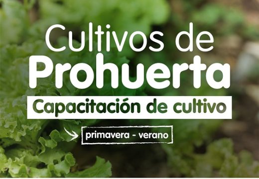 Municipalidad junto al INTA y el Senador Verdecchia invitan a participar de una nueva capacitación gratuita sobre cultivo primavera-verano.