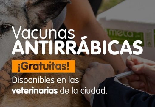 Vacunación antirrábica gratuita en veterinarias.