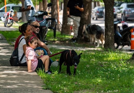 Setenta y tres castraciones en la quinta jornada del año.