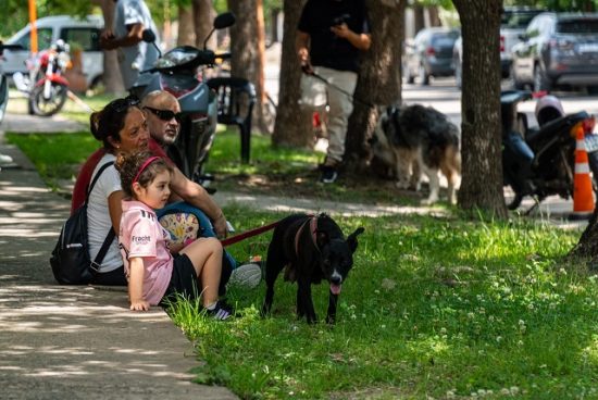 Setenta y tres castraciones en la quinta jornada del año.