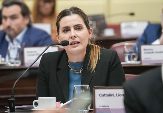 «Cattalini pidió celeridad al  consejo de la magistratura en el caso del juez Salmain»