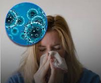 Brote de la Gripe H3N2.