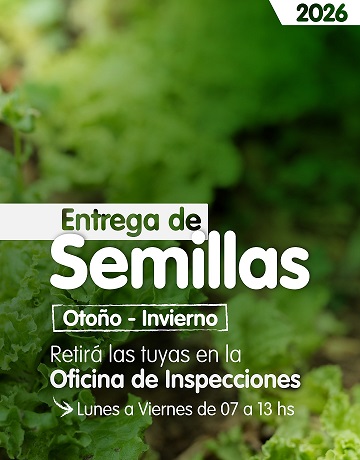 «Armstrong se Vuelve Verde: Ya Están Disponibles los Kits para la Huerta Familiar»