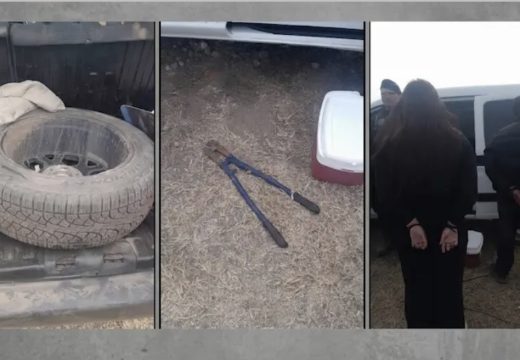Detienen a dos personas por robo en Agroactiva.