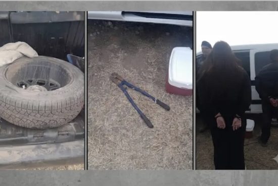Detienen a dos personas por robo en Agroactiva.
