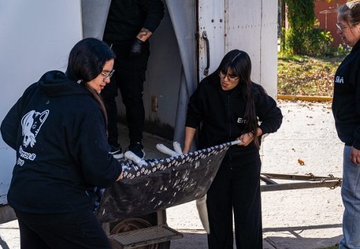 Éxito en la nueva jornada de castración masiva y vacunación antirrábica.